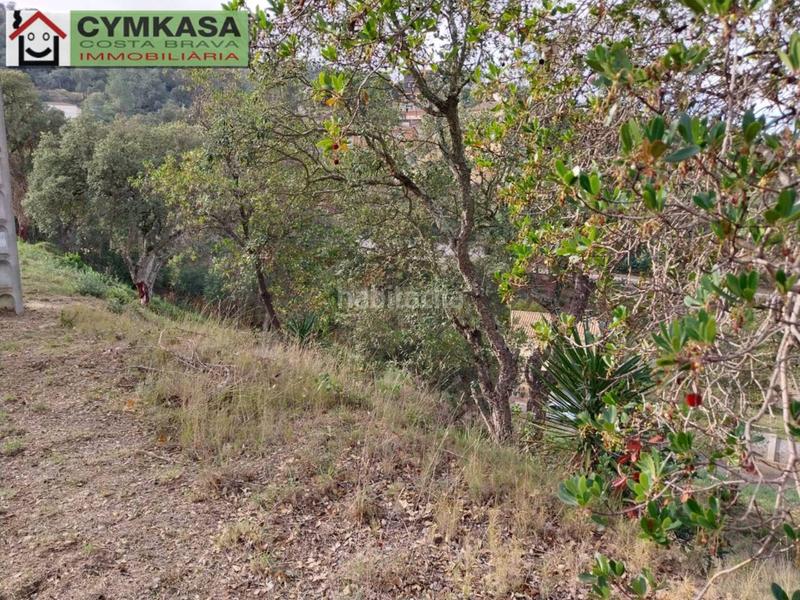 Foto 145d38e5-b638-4083-bf06-fff2c5d3ed46. Finca rústica terreno en venta en Montbarbat en Montbarbat Maçanet de la Selva