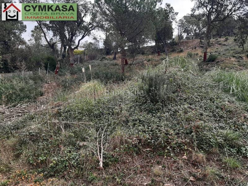 Foto 170cfe71-c7d1-4a5b-a262-d519ae03ceab. Finca rústica terreno en venta en Montbarbat en Montbarbat Maçanet de la Selva