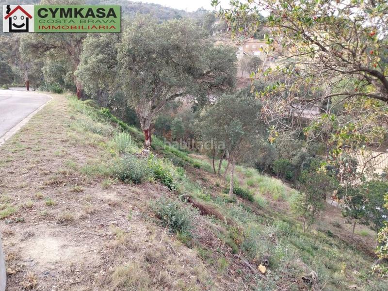 Foto 2b1c9a98-0c5c-4902-a10d-12abf9630a04. Finca rústica terreno en venta en Montbarbat en Montbarbat Maçanet de la Selva