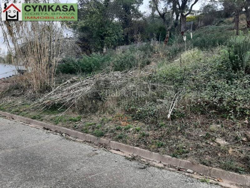 Foto 5786d4ae-9791-47b7-86d3-c59a19a363b9. Finca rústica terreno en venta en Montbarbat en Montbarbat Maçanet de la Selva