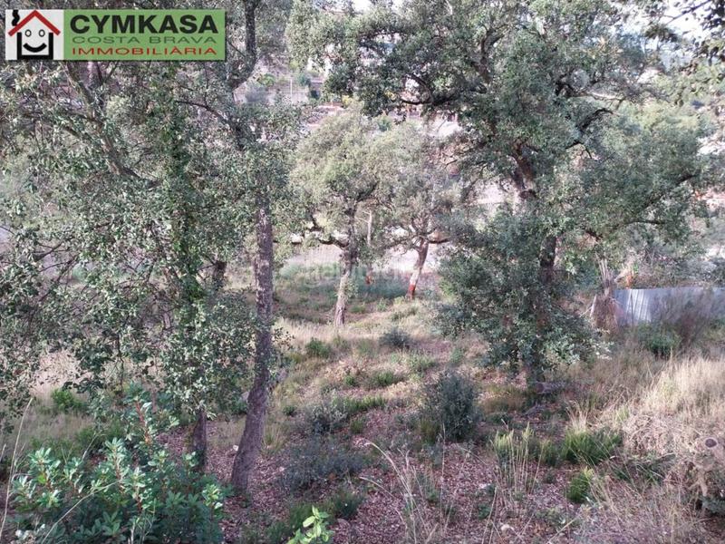 Foto 6731c6c5-3022-4615-a358-ee046c13a4e2. Finca rústica terreno en venta en Montbarbat en Montbarbat Maçanet de la Selva