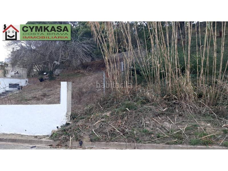 Foto 860a95ef-1e42-4a49-9ae1-9584fbb58b0b. Finca rústica terreno en venta en Montbarbat en Montbarbat Maçanet de la Selva