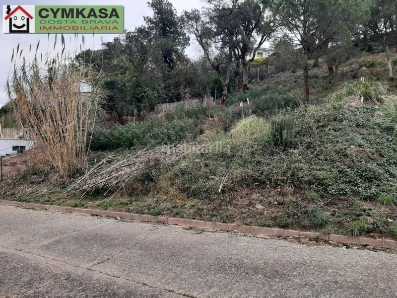 Foto 8c09a7ed-aa72-4b8f-8994-eaf9f6527090. Finca rústica terreno en venta en Montbarbat en Montbarbat Maçanet de la Selva