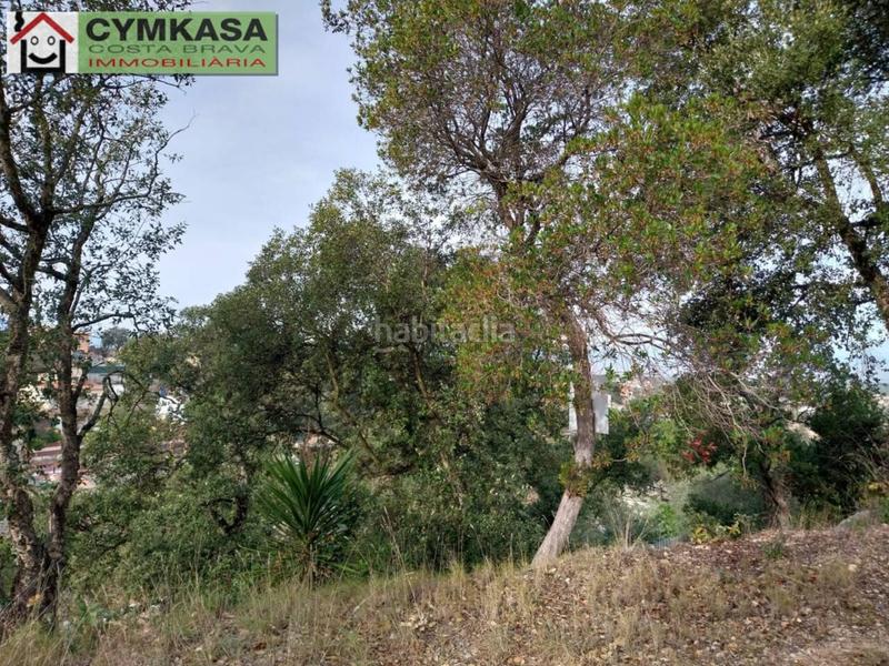 Foto 97b35a75-7608-490b-9b5c-7f9fb516f760. Finca rústica terreno en venta en Montbarbat en Montbarbat Maçanet de la Selva