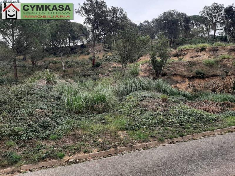 Foto b0a8de59-cc66-4828-9afd-7834ae2f0c42. Finca rústica terreno en venta en Montbarbat en Montbarbat Maçanet de la Selva