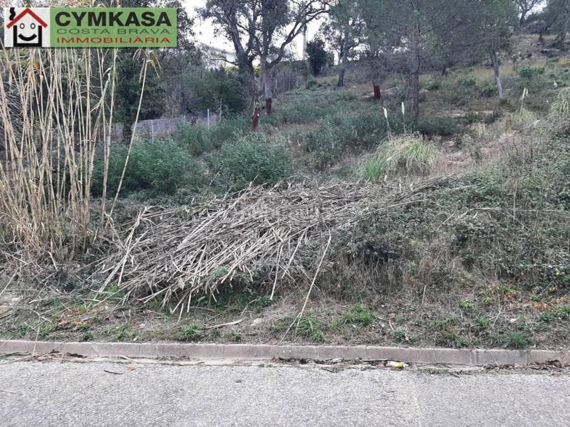 Foto ba23ae28-1a48-4bb6-b5c1-f1c19e928bf2. Finca rústica terreno en venta en Montbarbat en Montbarbat Maçanet de la Selva