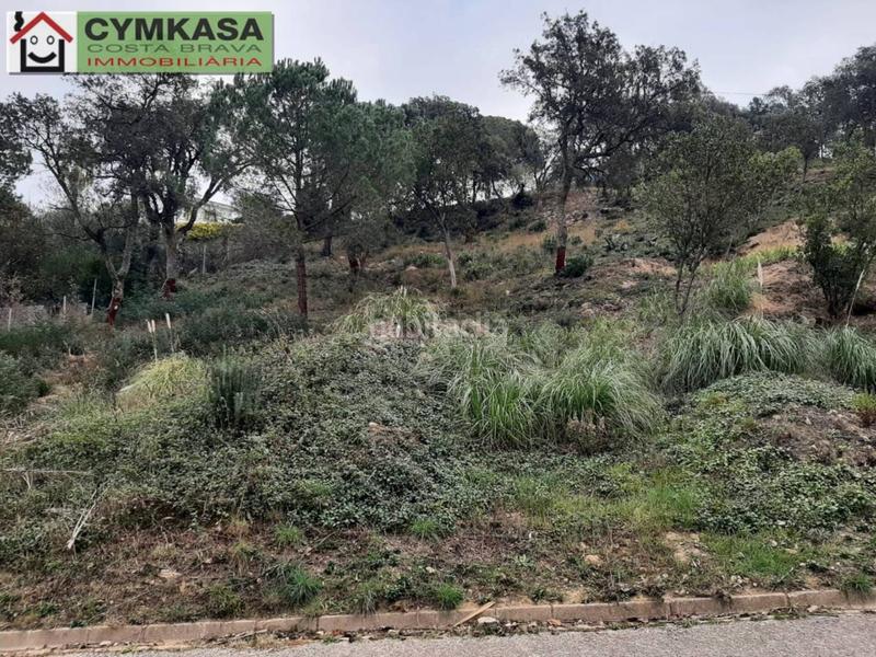 Foto bfea45c6-b915-40b7-b2a7-65902b5a04b1. Finca rústica terreno en venta en Montbarbat en Montbarbat Maçanet de la Selva