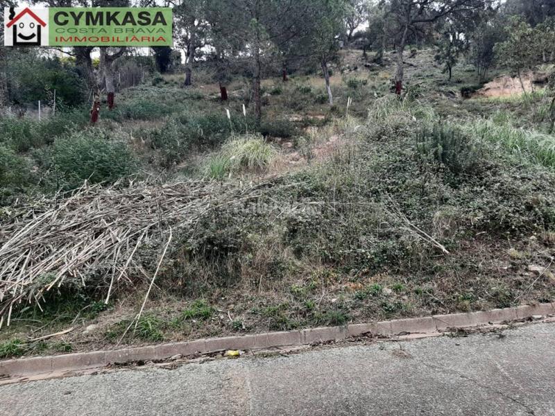 Foto d5c2e10c-7e67-4108-b99f-8db5944e1902. Finca rústica terreno en venta en Montbarbat en Montbarbat Maçanet de la Selva