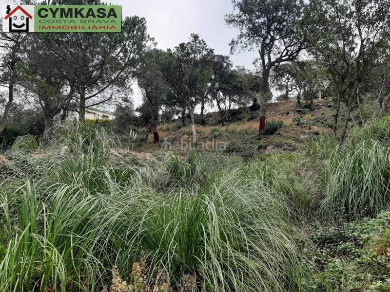 Foto e2825552-e7a3-4652-8517-8c854fb89c58. Finca rústica terreno en venta en Montbarbat en Montbarbat Maçanet de la Selva