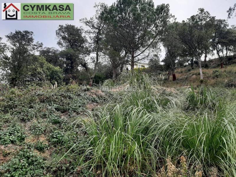 Foto e5af03a5-0864-410c-9ef4-7b8c9d7792a5. Finca rústica terreno en venta en Montbarbat en Montbarbat Maçanet de la Selva