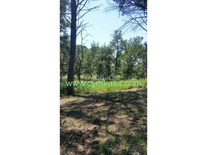 Foto 232517f4-9fa4-4de7-b069-f46a0f502ac7. Wohngrundstück in Sils