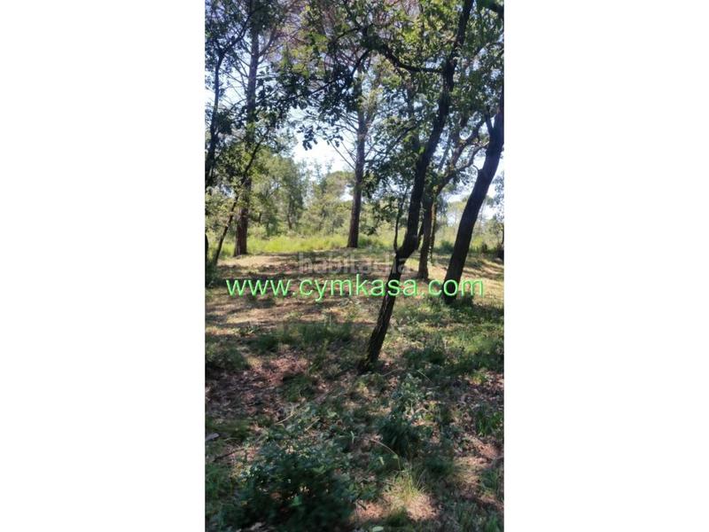 Foto 28063704-3a2e-49b5-8623-a9ac71ccebfd. Wohngrundstück in Sils