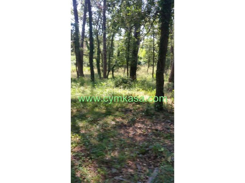 Foto 3d1c902f-92b5-478a-b739-1c92fa9e3696. Wohngrundstück in Sils