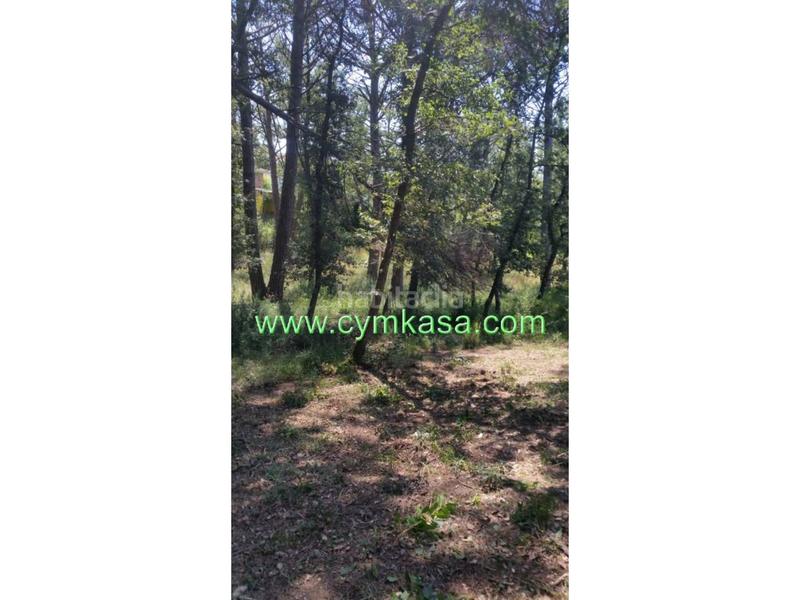 Foto 7c6e538c-37f2-4de0-97cb-3ca76055261f. Wohngrundstück in Sils