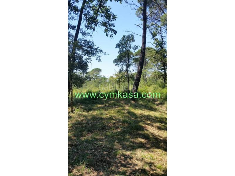 Foto 86913fe4-6ded-4c3c-af94-89fa9474e6b8. Wohngrundstück in Sils