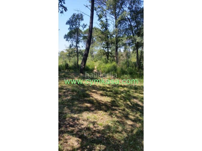 Foto b6a5d28f-bdbe-4ee7-a09c-de6b4266651f. Wohngrundstück in Sils