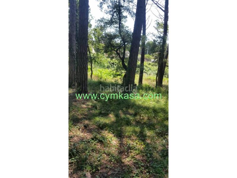 Foto daaf9253-285a-4426-9e39-e1479ec840c1. Wohngrundstück in Sils