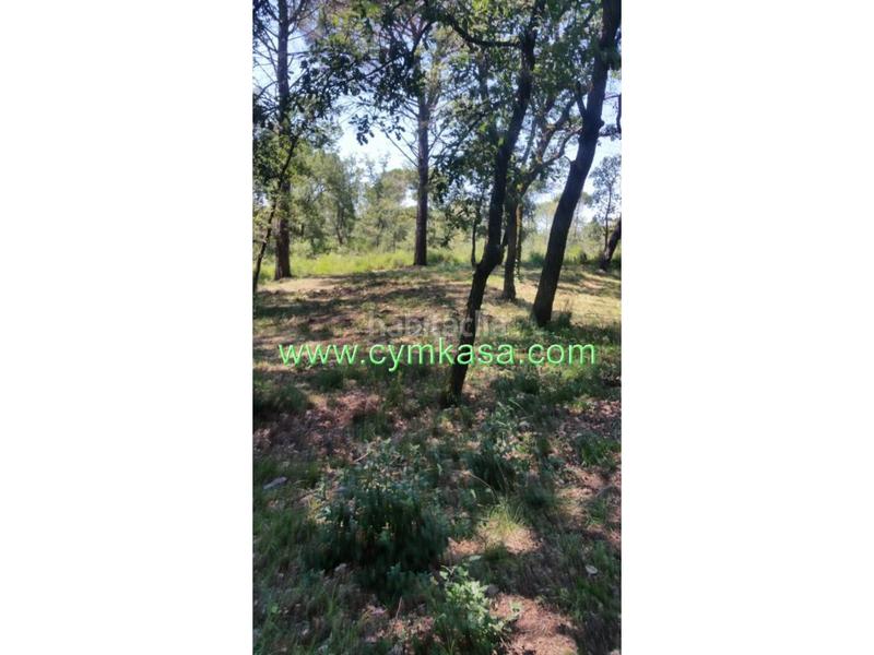 Foto ec548806-7bca-4f49-97c6-a48c17f4279c. Wohngrundstück in Sils