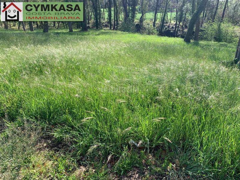 Foto bc90ff27-d864-47c0-a115-c21f84871cb1. Finca rústica a Sils