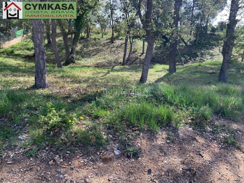 Foto 1a99bb33-141f-43b4-b665-ba152d7795e3. Finca rústica a Sils
