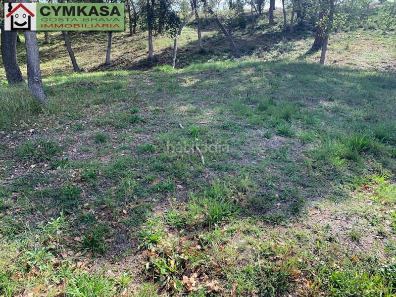 Foto c80368f9-a41d-45f7-abf0-c9e05be91eb7. Finca rústica a Sils