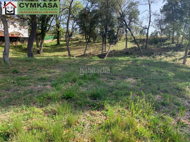 Foto e461a1f1-2a87-4756-85af-14eab7ed4f98. Finca rústica a Sils