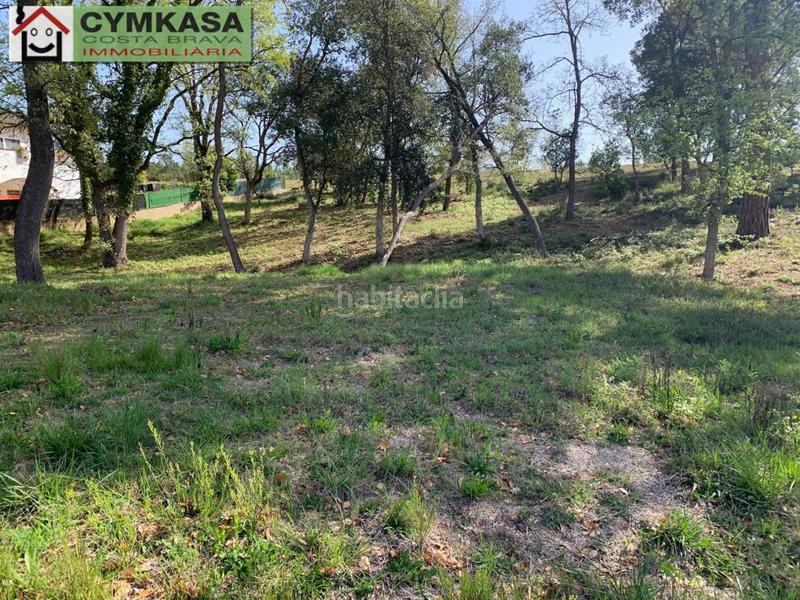 Foto f2213e73-d3a1-4dea-b190-0ca7e329bf74. Finca rústica a Sils