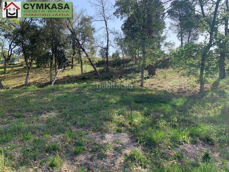 Foto f6ec281e-00bd-4824-bd46-1778706aa471. Finca rústica a Sils