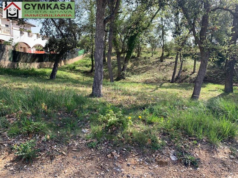 Foto 971c33d0-23fe-4c35-b791-28a5b55bd6b4. Landgut in Sils