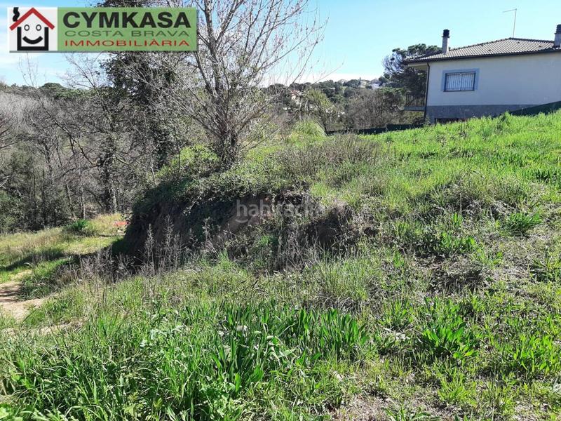 Foto 23b8459e-56e7-43cd-9f9e-a8bccabc4584. Terreny residencial a Mas Altaba - El Molí Maçanet de la Selva