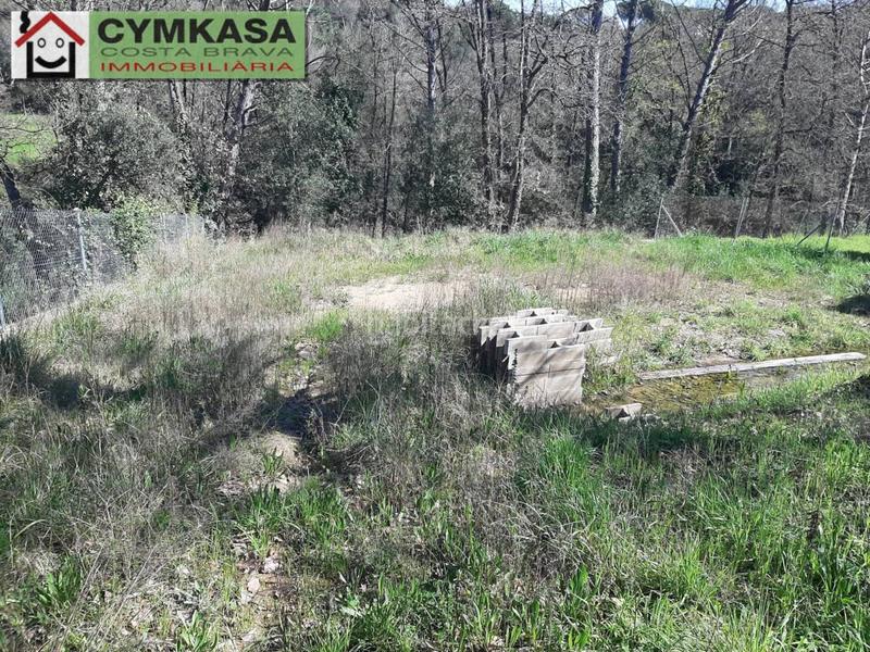 Foto 31b47b24-ba99-480c-8c1d-33262b4ed37b. Terreny residencial a Mas Altaba - El Molí Maçanet de la Selva