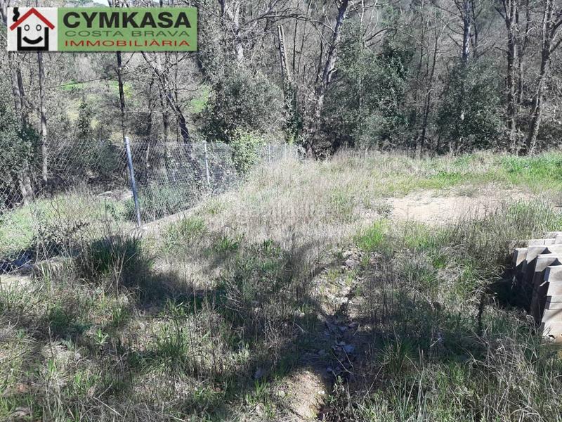 Foto 4fd4e782-1ff6-45d2-b9a9-2f5eb925278e. Terreny residencial a Mas Altaba - El Molí Maçanet de la Selva