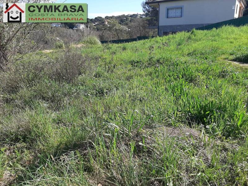 Foto 8c89802b-0d39-40bd-85d3-ac9cfa36254a. Terreny residencial a Mas Altaba - El Molí Maçanet de la Selva