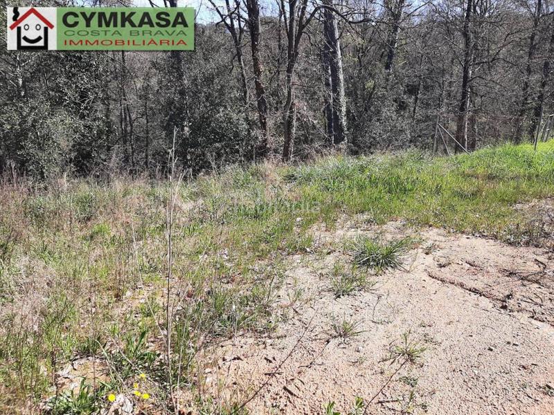 Foto cb692131-37db-4d06-8d3c-eb6176c0cd19. Terreny residencial a Mas Altaba - El Molí Maçanet de la Selva