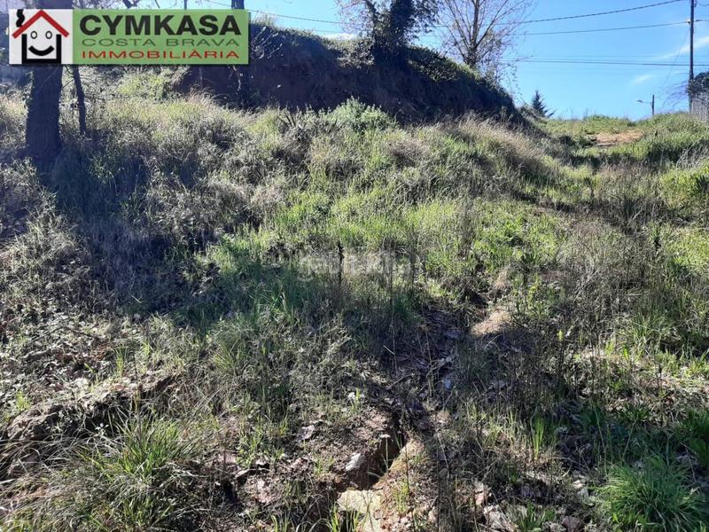 Foto d7e5b352-c1fa-4381-be7d-77d8df206354. Terreny residencial a Mas Altaba - El Molí Maçanet de la Selva