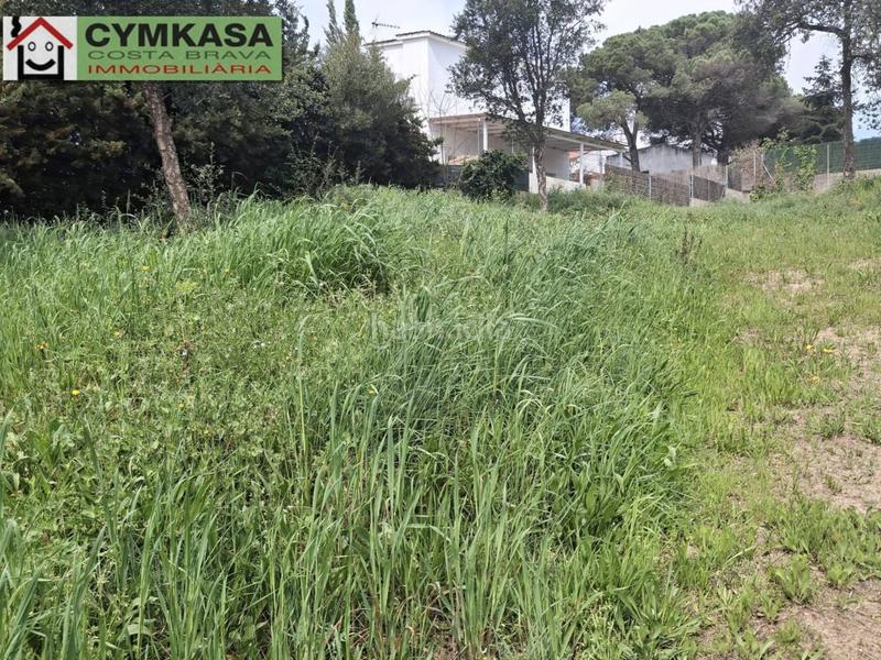 Foto d7718512-2a4d-410d-9f23-aa090461b6f4. Terreno residencial terreno en venta en urb niagara parc en Tordera