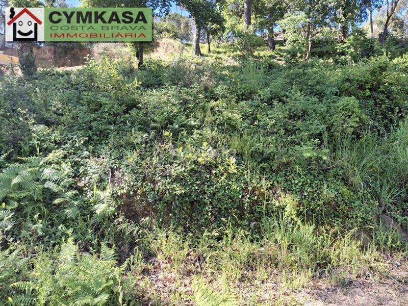 Foto 2703231a-5f89-4446-8c27-2c69cbc2af32. Terrain résidentiel dans Montbarbat Maçanet de la Selva