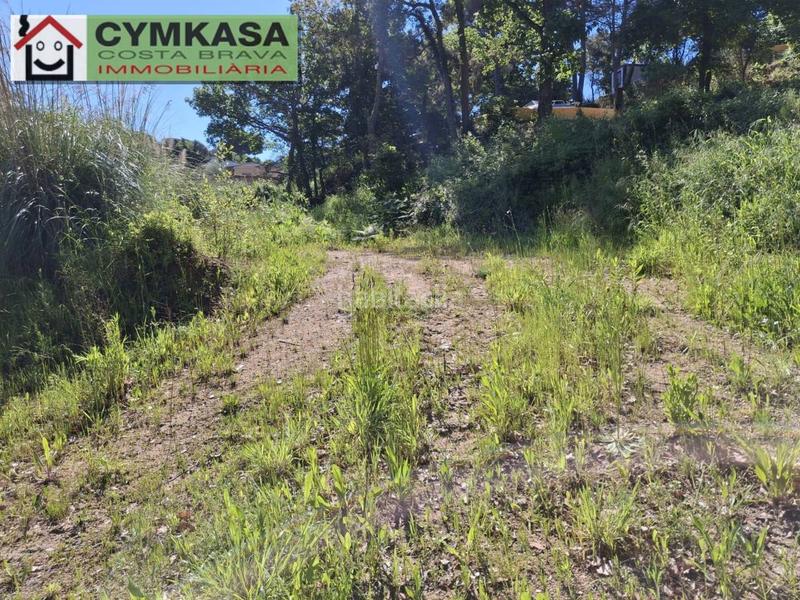 Foto 5b733b01-8653-4d41-8008-6b45815298ee. Terrain résidentiel dans Montbarbat Maçanet de la Selva