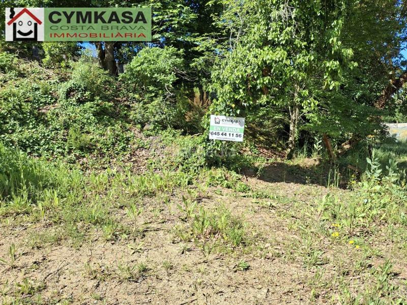 Foto 65c7e83d-1d4c-4adc-8319-d4808a370466. Terrain résidentiel dans Montbarbat Maçanet de la Selva