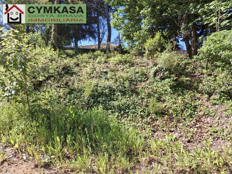 Foto 79d1d3ac-21ad-41d9-90a4-8461b18aabf6. Terrain résidentiel dans Montbarbat Maçanet de la Selva