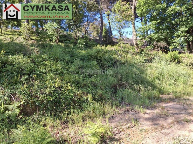 Foto 7b9aca40-3987-446f-9ec8-616e864c9a5d. Terrain résidentiel dans Montbarbat Maçanet de la Selva