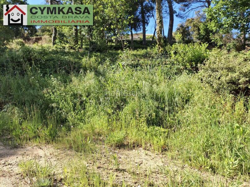 Foto a5a24c62-8548-4e6d-b0d5-1bab84380845. Terrain résidentiel dans Montbarbat Maçanet de la Selva