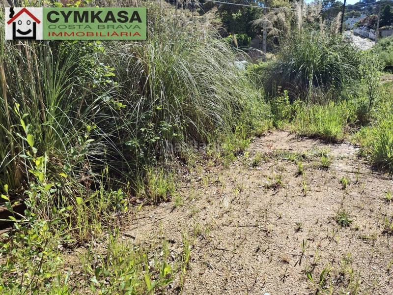 Foto d978ba00-7ba9-4547-b5a3-bba1f3307f07. Terrain résidentiel dans Montbarbat Maçanet de la Selva