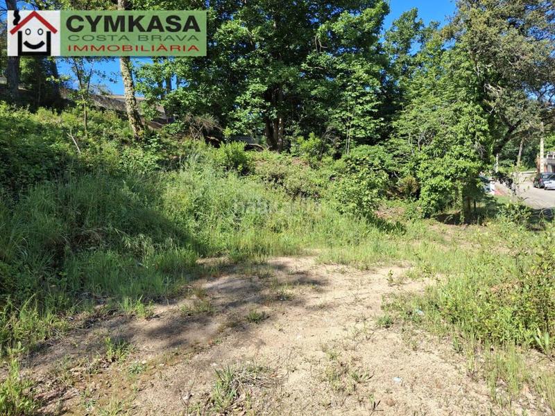 Foto e9d4cbc1-b330-46a4-84d1-41b213d9bee4. Terrain résidentiel dans Montbarbat Maçanet de la Selva