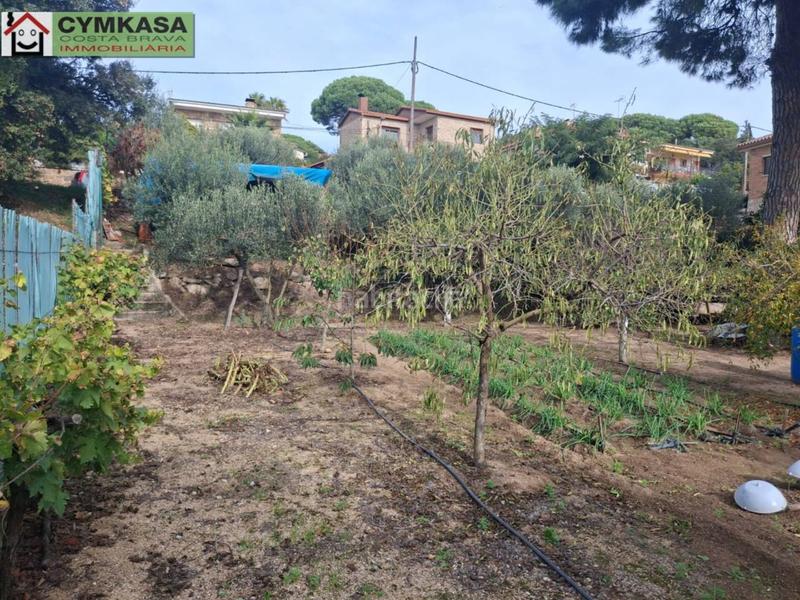 Foto 021c0222-f04b-4a44-b77f-d2782c5175aa. Terreny residencial a Palafolls