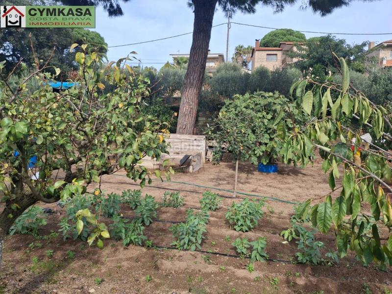 Foto 0401fed7-fe30-4cd0-8257-1e4a1ace6369. Terreny residencial a Palafolls