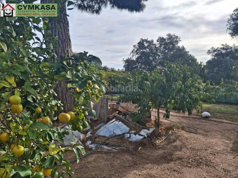 Foto 06061b19-aed6-4316-810a-d2c2cdaef060. Terreny residencial a Palafolls