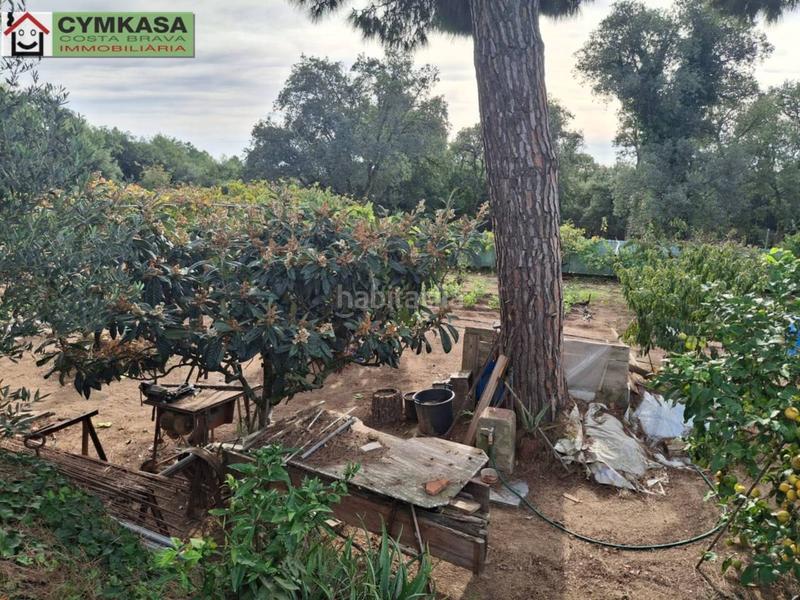 Foto 84d43cb5-e210-4a28-a7e4-3c8ed65a8347. Terreny residencial a Palafolls