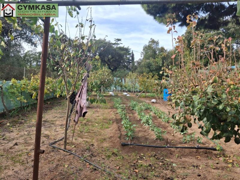 Foto 97bc081b-299e-44e0-93a0-8234f13675b3. Terreny residencial a Palafolls