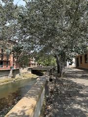 Pis  Passeig de sant joan. Oportunitat al centre de ripoll